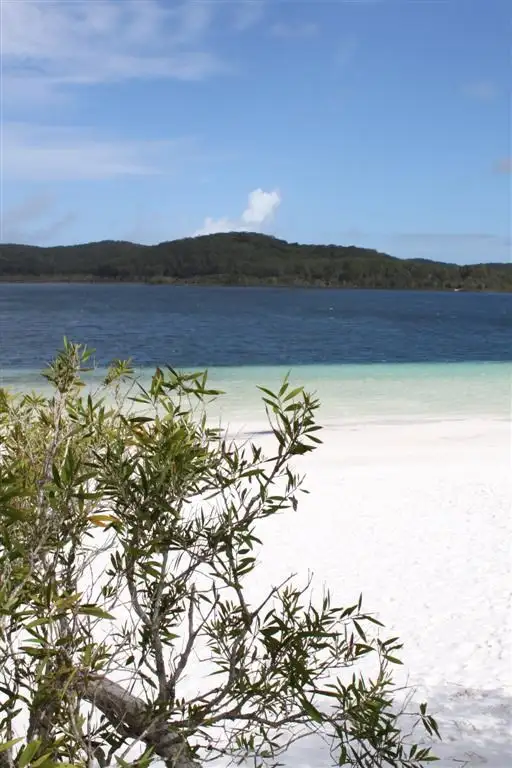 Seventh view of Homely land listing, 26 Williams Avenue, Fraser Island QLD 4581