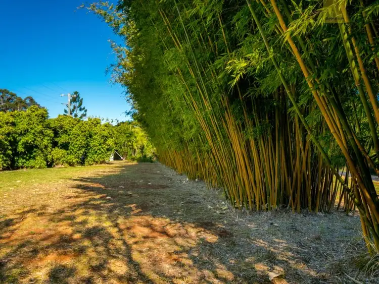 Seventh view of Homely house listing, 246 Duncan Road, Numulgi NSW 2480