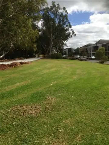 Fourth view of Homely land listing, 8 Treloar Court, Campbelltown SA 5074