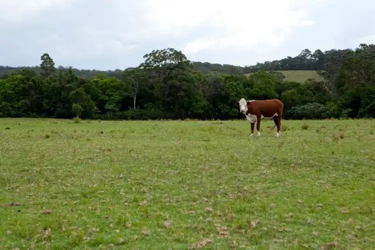 Fifth view of Homely rural property listing, 618 Half Chain Road, Koorainghat NSW 2430