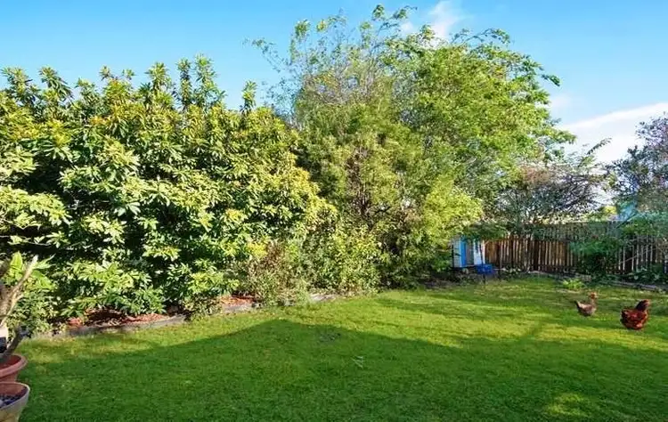 Seventh view of Homely house listing, 49 Twelfth Avenue, Kedron QLD 4031