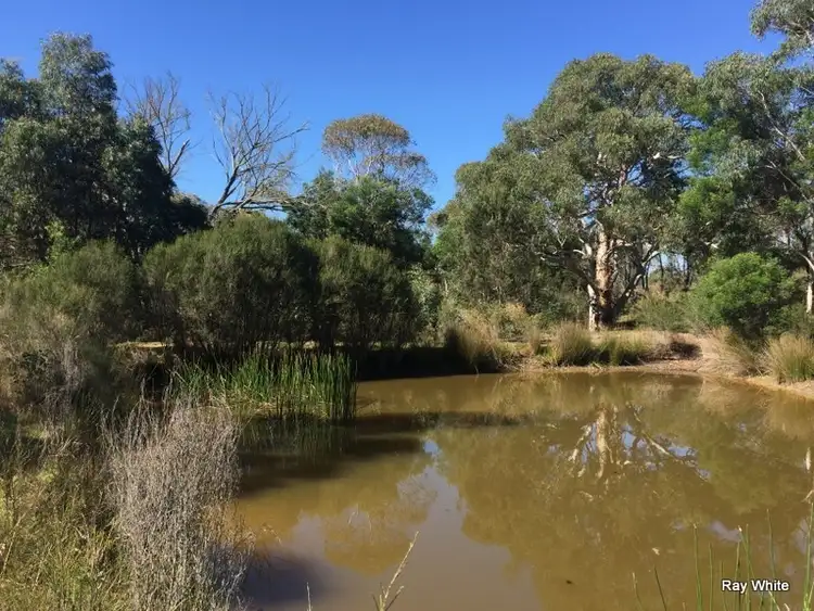 Sixth view of Homely rural property listing, 243 Jacquet Road, Nerriga NSW 2622