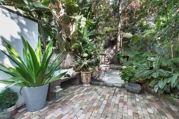 Fifth view of Homely house listing, 49 Roslyn Street, Rushcutters Bay NSW 2011