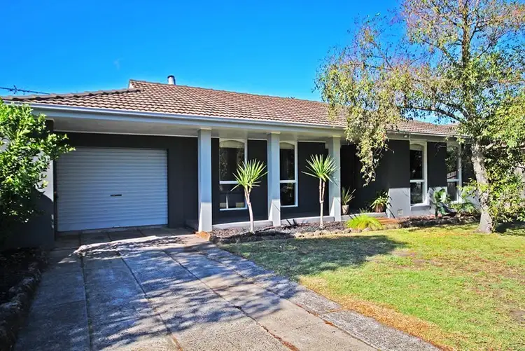 8 Anton Court, Chelsea Heights VIC 3196