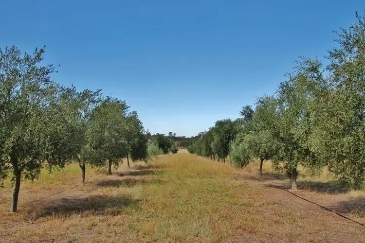 927 Monteagle Stock Route East, Monteagle via, Young NSW 2594