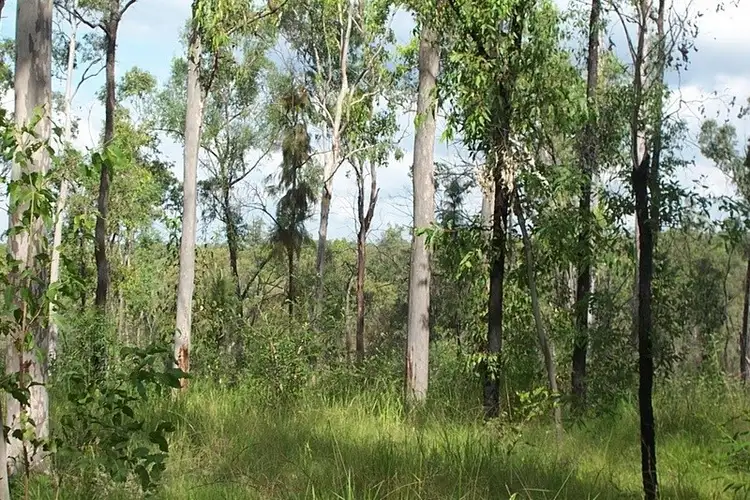 Fourth view of Homely land listing, L2-369 Fortis Creek Road, Fortis Creek NSW 2460