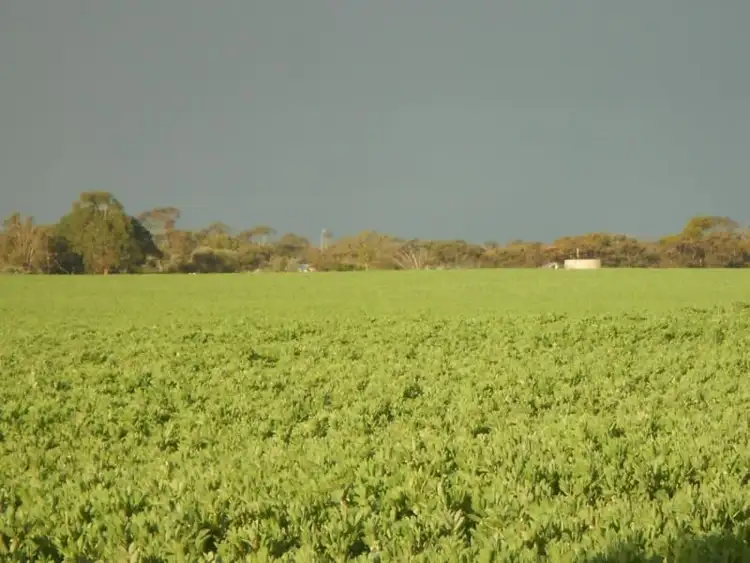 Third view of Homely rural property listing, 3/175 Golf Course Road, Bordertown SA 5268