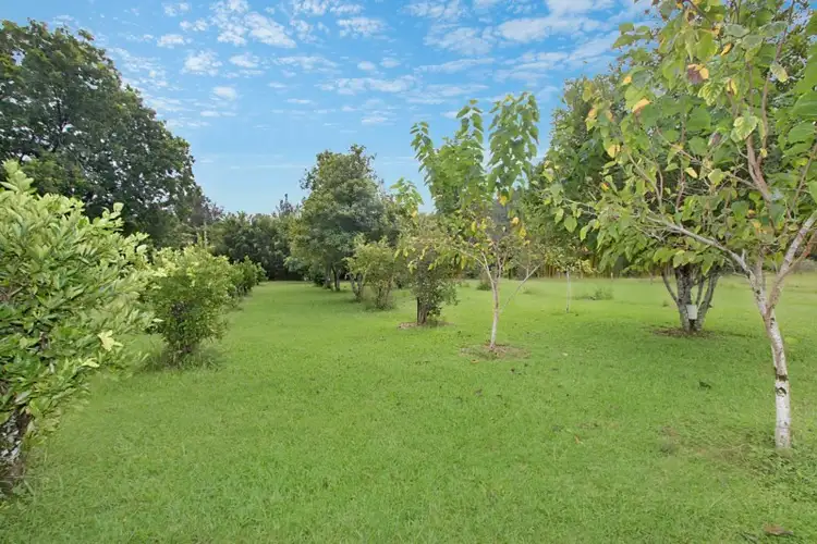 Fifth view of Homely rural property listing, 1491 Numinbah Road, Chillingham NSW 2484