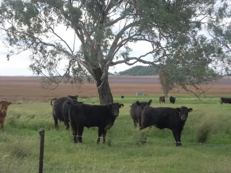 Main view of Homely rural property listing, Lot 46 Toowoomba Cecil Plains Road, Mount Tyson QLD 4356