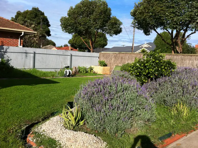 Sixth view of Homely unit listing, 3/58 Le Hunte Street, Kilburn SA 5084