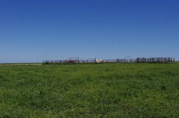 Fifth view of Homely rural property listing, 'Mytona' 154 Bypass Road, Inverell NSW 2360