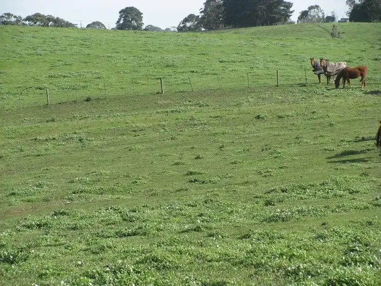 Seventh view of Homely rural property listing, Lot 2 Yahl Main Road, Glenburnie SA 5291