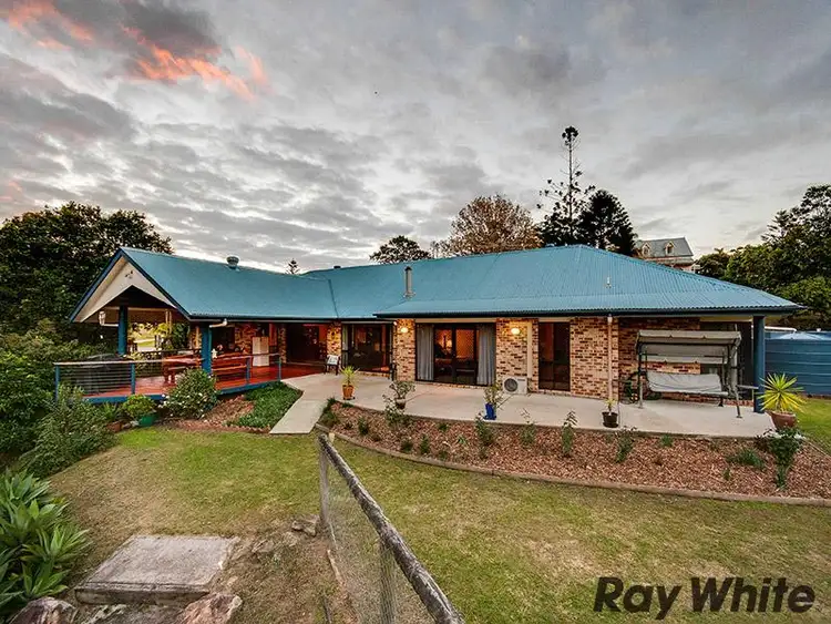 Main view of Homely house listing, 19 Steiler Court, Bunya QLD 4055