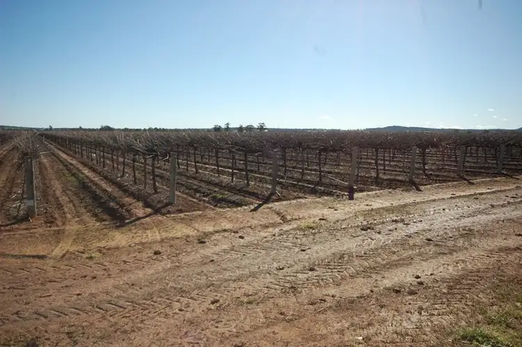 Sixth view of Homely rural property listing, Farm 548B Moseley Road, Bilbul NSW 2680