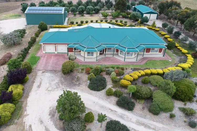 Main view of Homely house listing, 8 Schwerdt Road, Murray Bridge SA 5253