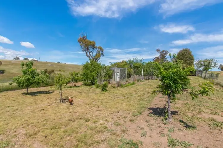 Sixth view of Homely rural property listing, 40 Pinebank Lane, Springrange NSW 2618