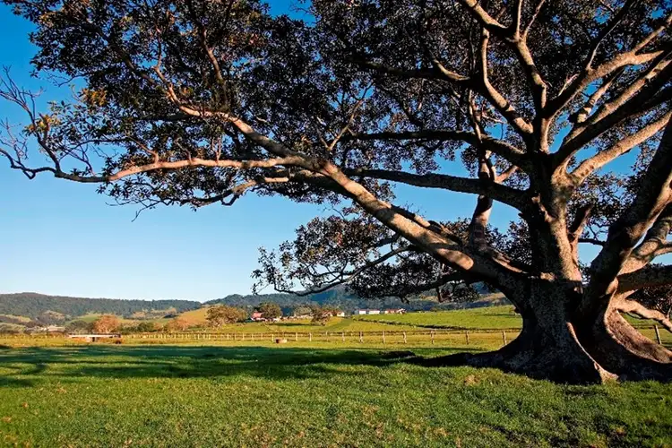 Seventh view of Homely rural property listing, Lot 206 Princes Highway, Gerringong NSW 2534