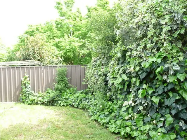 Seventh view of Homely unit listing, 3/1 Opal Court, Wodonga VIC 3690