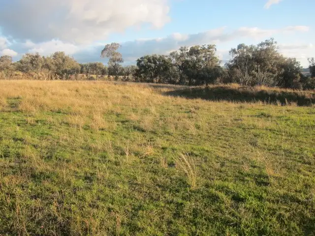 Fourth view of Homely rural property listing, 157 Ascot - Calala Lane, Loomberah NSW 2340