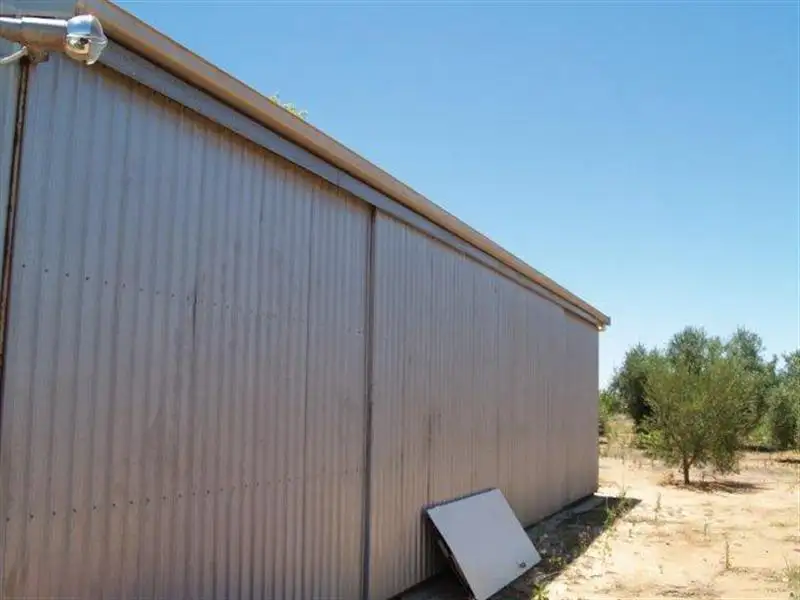 Main view of Homely house listing, 184 Hill Road, Waikerie SA 5330