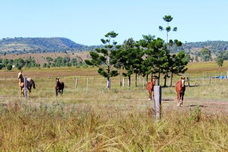 Main view of Homely rural property listing, 261 Hamiltons Lane, Mount Beppo QLD 4313