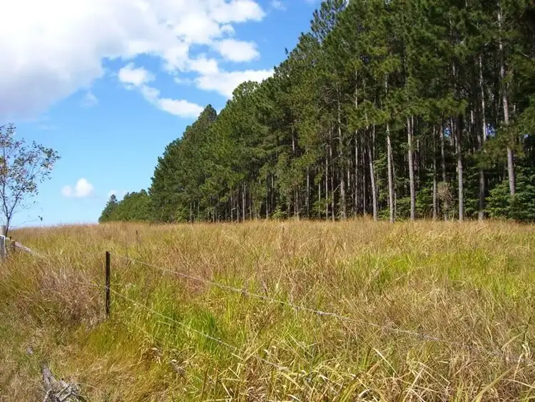 Second view of Homely land listing, 212 Euluma Creek Road, Julatten QLD 4871