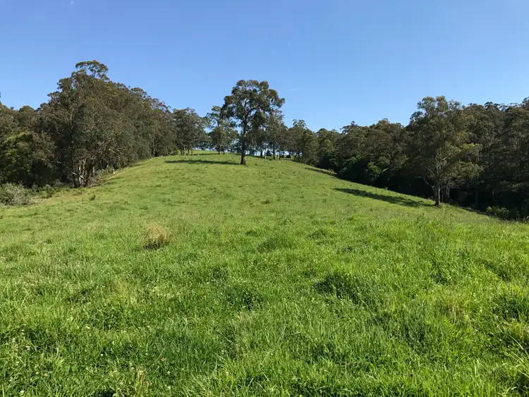 Seventh view of Homely rural property listing, 383 Emersons Road, Dorrigo NSW 2453