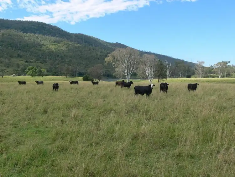 Seventh view of Homely rural property listing, 222 Cooeeimbardi Road, Somerset Dam QLD 4312
