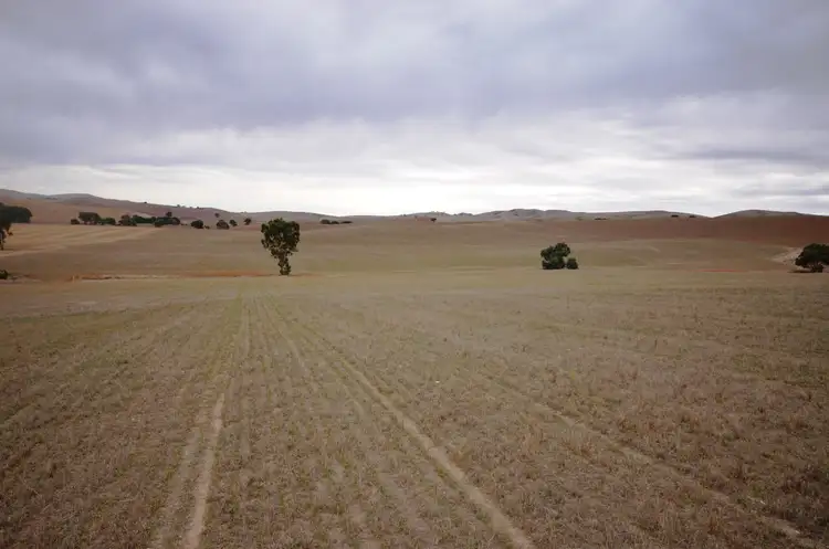 "Harveys" Pattersons Road, Gulnare SA 5471