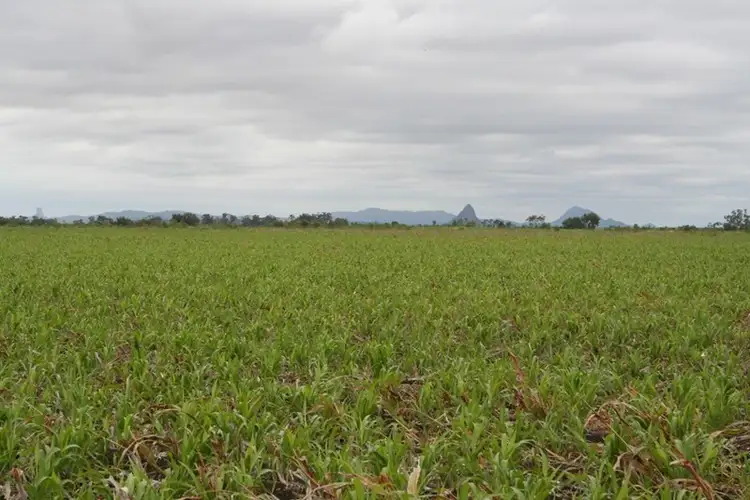 Second view of Homely rural property listing, . Kinsale, Clermont QLD 4721