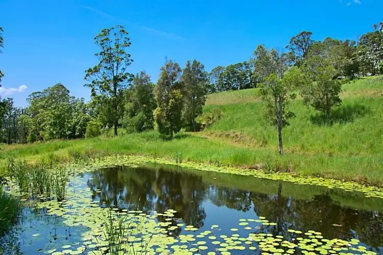 Seventh view of Homely rural property listing, 94 Starlight Way, Tyalgum NSW 2484