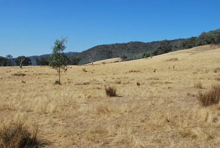 Fourth view of Homely rural property listing, Top Paddock Rae Road, Murmungee VIC 3747