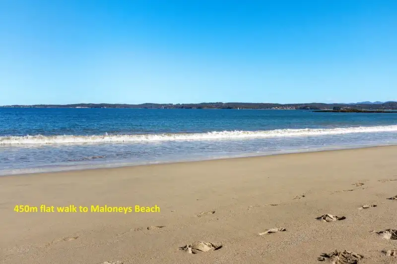 Main view of Homely house listing, 87 Maloneys Drive, Maloneys Beach NSW 2536