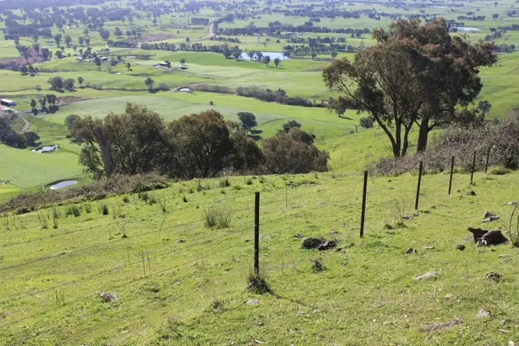 Fourth view of Homely rural property listing, Address available on request