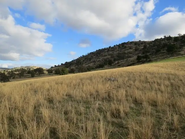 Sixth view of Homely rural property listing, Lot 141 Tarrants Gap Road, Wyangala NSW 2808