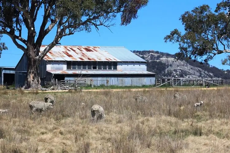 Third view of Homely rural property listing, 924A Kildare Road, Tenterfield NSW 2372
