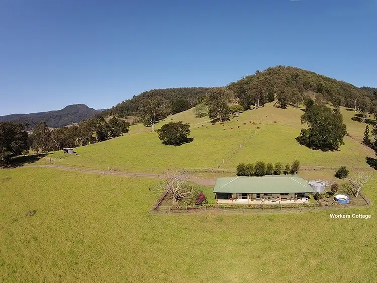 Second view of Homely rural property listing, 329 Pocket Road, Numinbah Valley QLD 4211