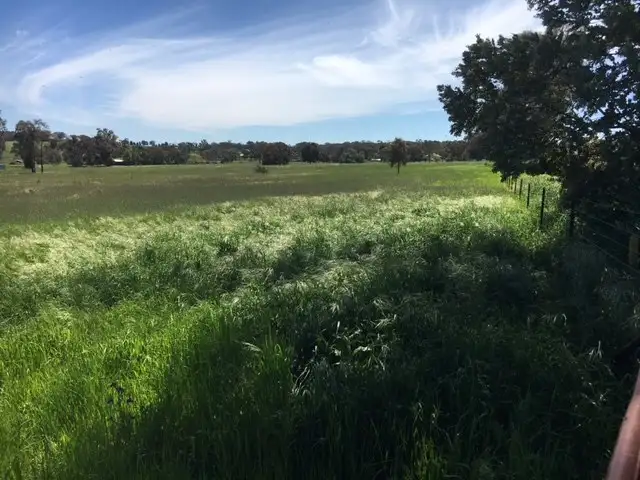 Fifth view of Homely rural property listing, Lot 213 Reg Hailstone Way, Woodstock NSW 2793