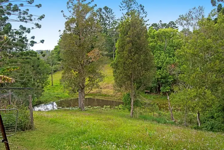 Second view of Homely house listing, 503 Tallebudgera Connection Road, Currumbin Valley QLD 4223