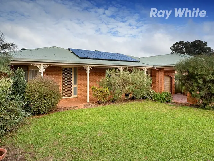 2 Mitta Grove, Lavington NSW 2641