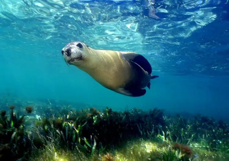 Seventh view of Homely land listing, Lot 132, 5 Coubrough Place, Jurien Bay WA 6516