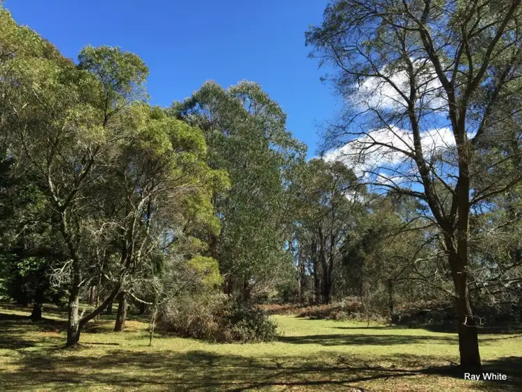 Sixth view of Homely rural property listing, 514 Charleys Forest Road, Braidwood NSW 2622