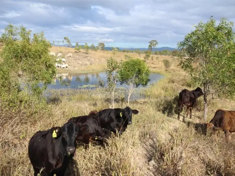 Lot 25 Marion Settlement Road, Ilbilbie QLD 4738