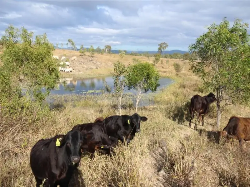 Main view of Homely rural property listing, Lot 25 Marion Settlement Road, Ilbilbie QLD 4738
