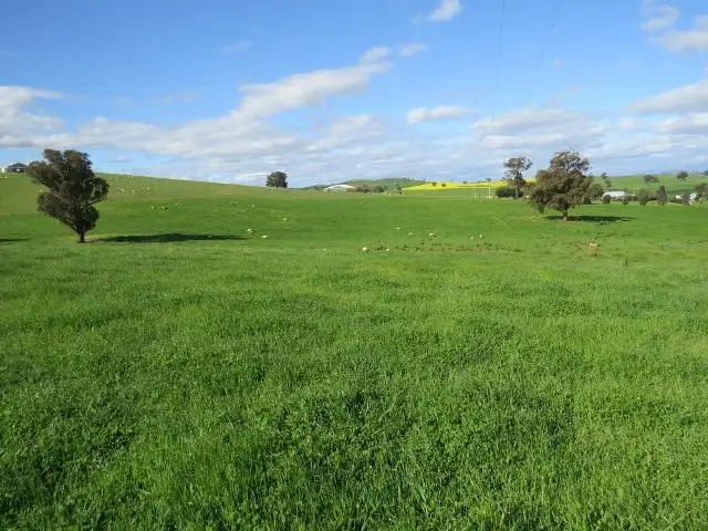 Lots 1 and 2 Willowvale Road, Cowra NSW 2794