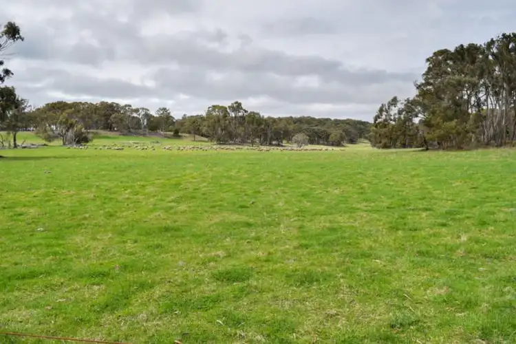 Fifth view of Homely rural property listing, Earlstoun 126 Earlstoun Road, Guyra NSW 2365