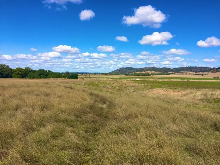 Seventh view of Homely rural property listing, 64 Tallarook Road, Cowra NSW 2794