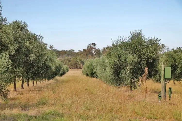 Seventh view of Homely land listing, 927 Monteagle Stock Route East, Monteagle via, Young NSW 2594