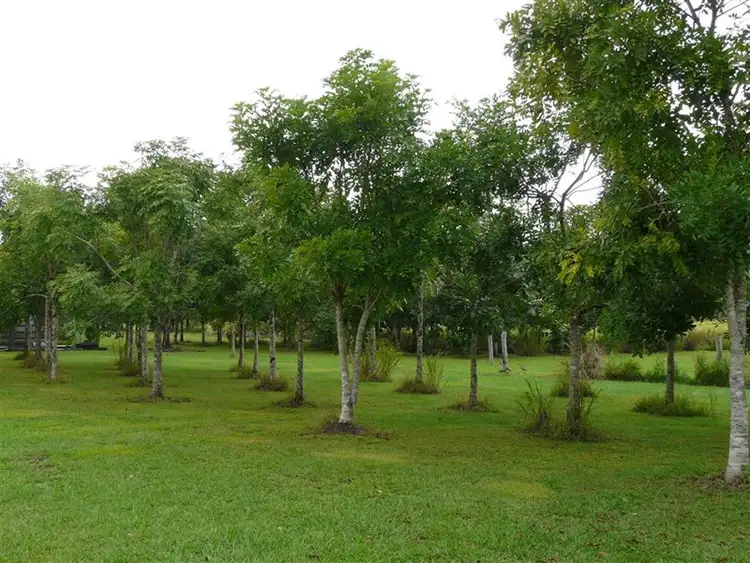 Third view of Homely house listing, 94 Francis Road, Utchee Creek QLD 4871