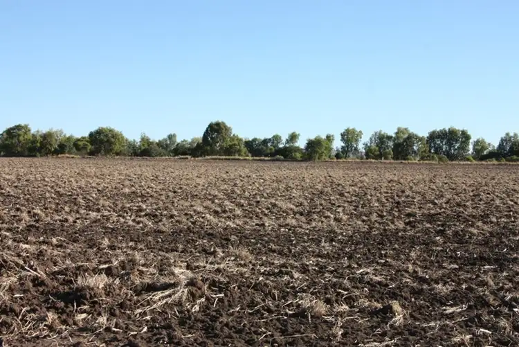 Second view of Homely rural property listing, 260 Lookerbie Road, Thangool QLD 4716